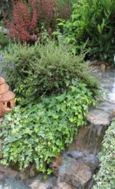 Park Prijateljstva 1