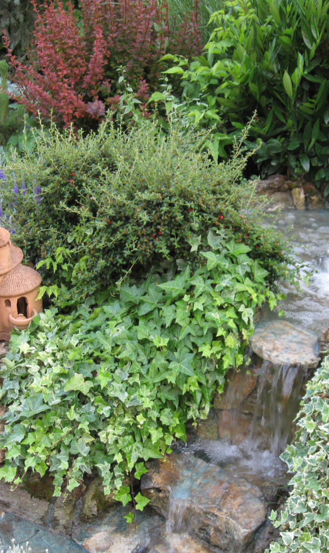 Park Prijateljstva 1