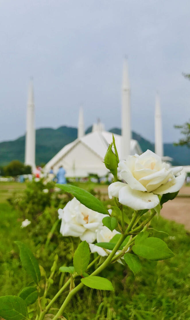 Nature islamabad