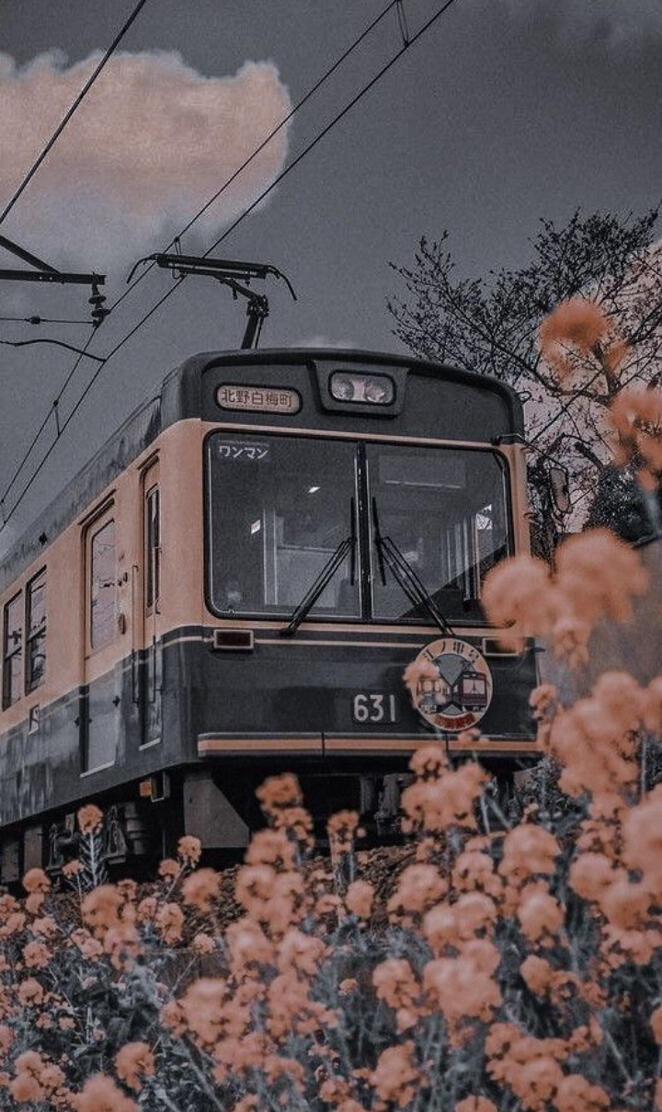 Japanese train