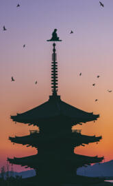 Sage Naruto Training