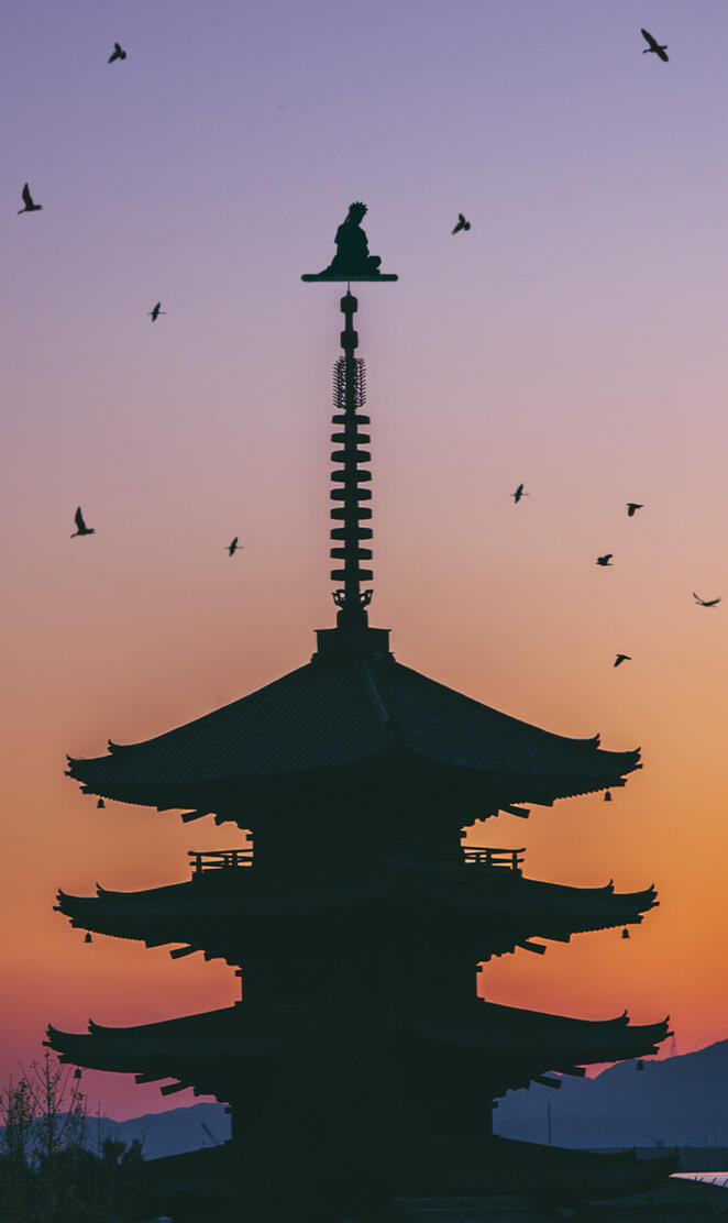 Sage Naruto Training