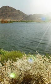 Madinah Lake