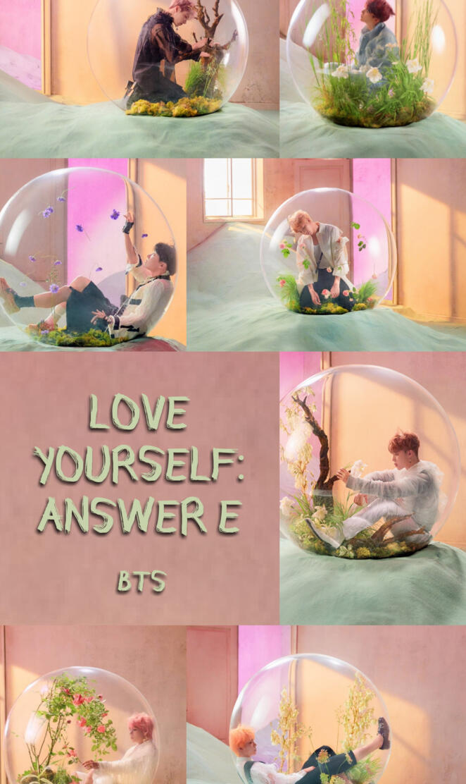 BTS LY Answer E