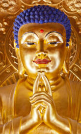 Buddh ji
