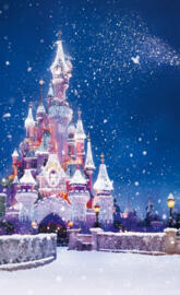 Disneyland Christmas