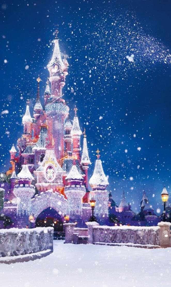 Disneyland Christmas