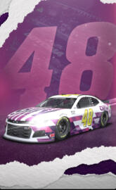 Jimmie Johnson rALLY