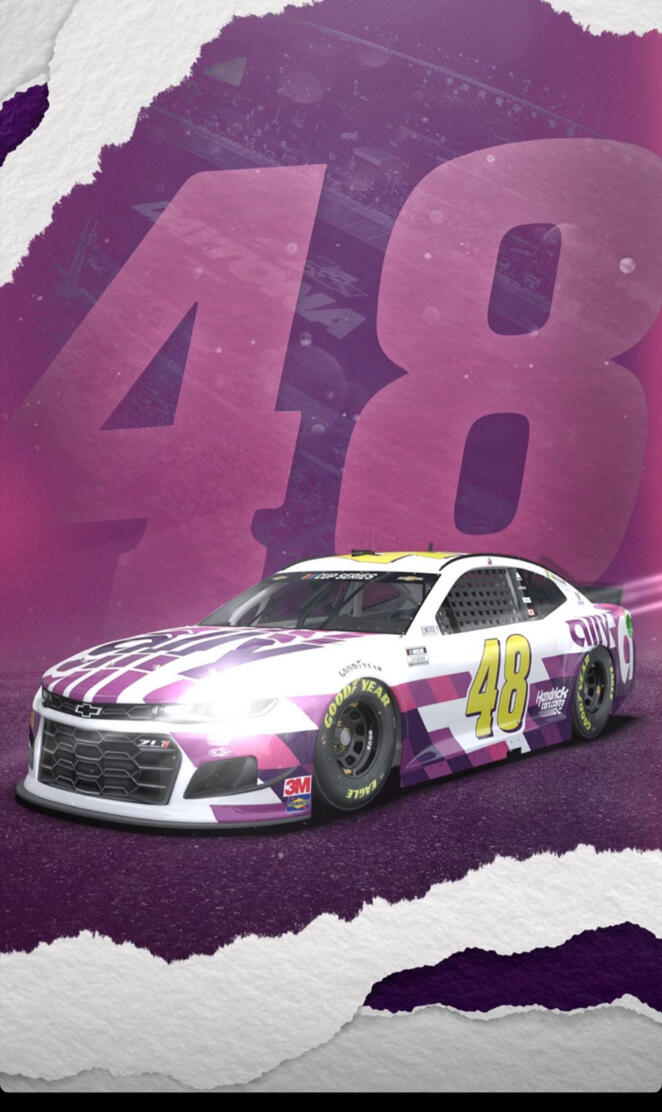 Jimmie Johnson rALLY