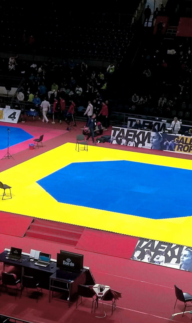 Taekwondo terrain