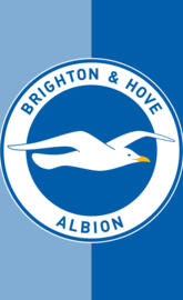 Brighton & Hove Albion
