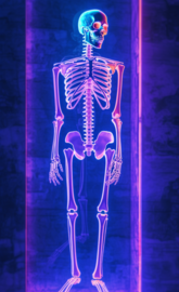 Neon human skeleton