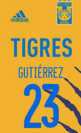 Tigres Femenil