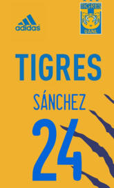 Tigres Femenil