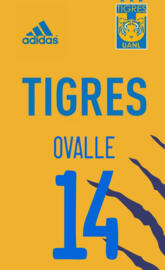 Tigres Femenil