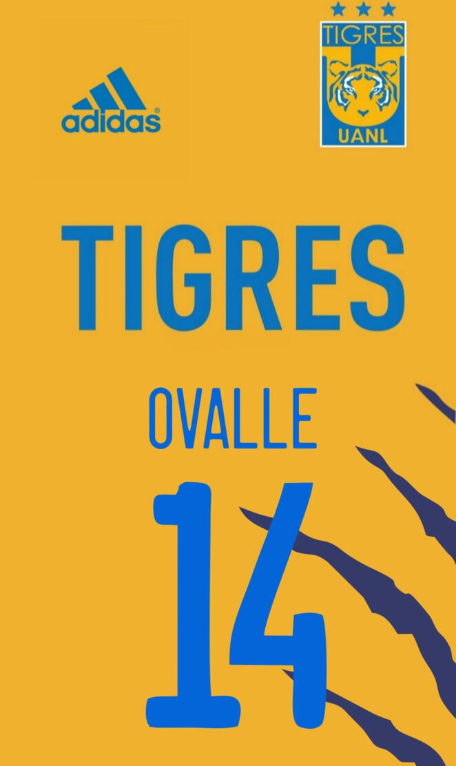 Tigres Femenil