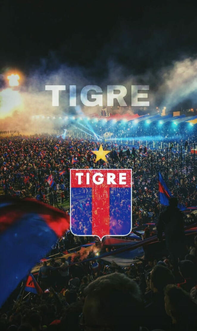 Tigre matador