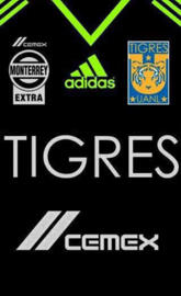 TIGRES DE MEXICO