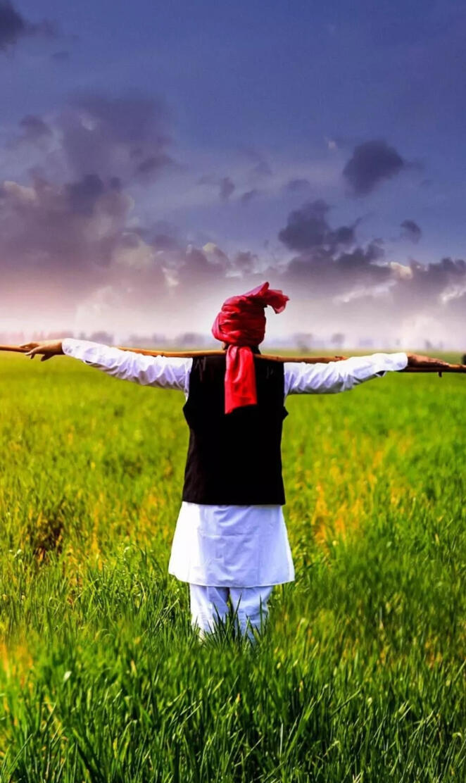 Jacksunny Wallpapers