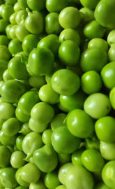 Pea