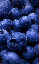 Blueberries