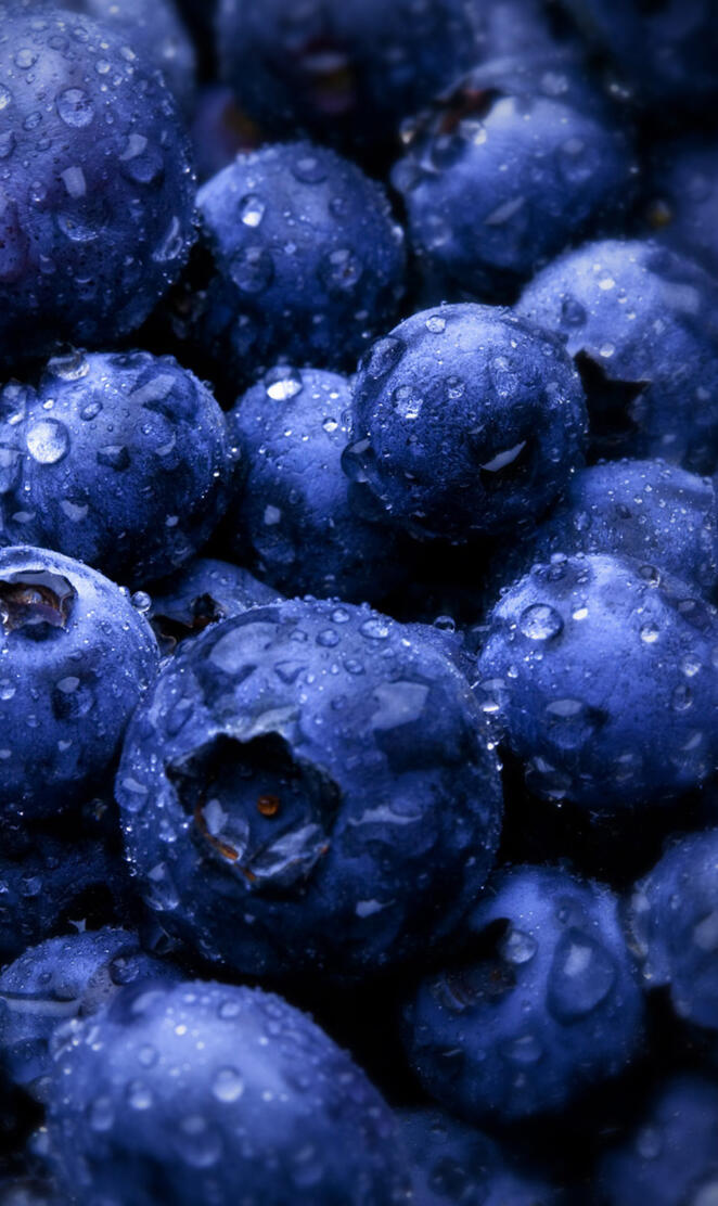 Blueberries