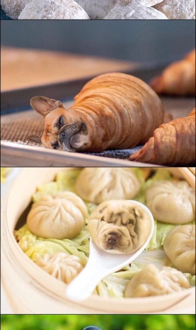 Cute dogs as food