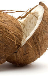 Coconut
