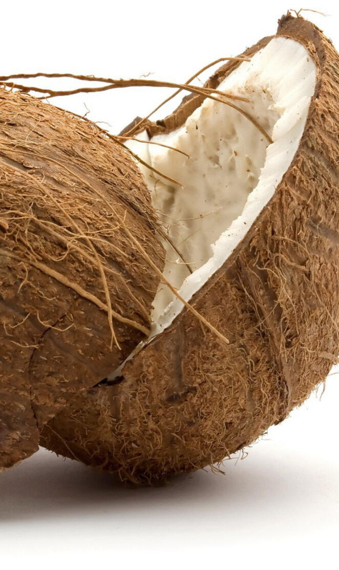 Coconut
