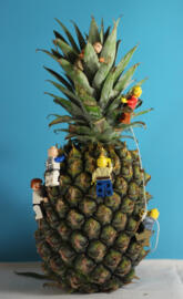 Lego pineapple