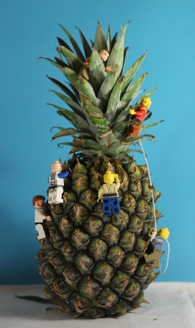 Lego pineapple