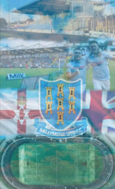 Ballymena United FC