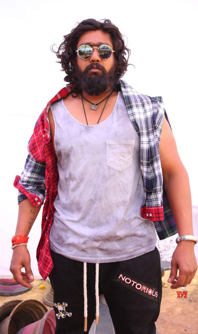 Dhruva sarja