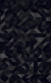 Black Polygons