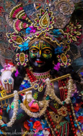 Krishna