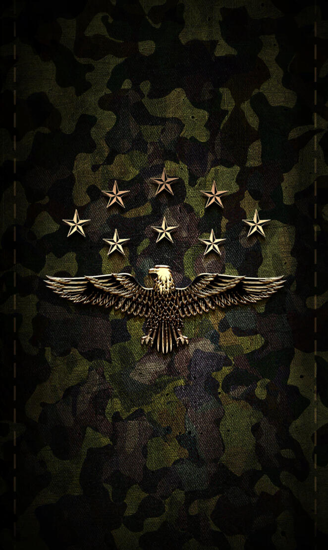Camo eagle