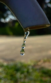 Water Droplets
