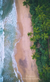 Sri Lanka Beach