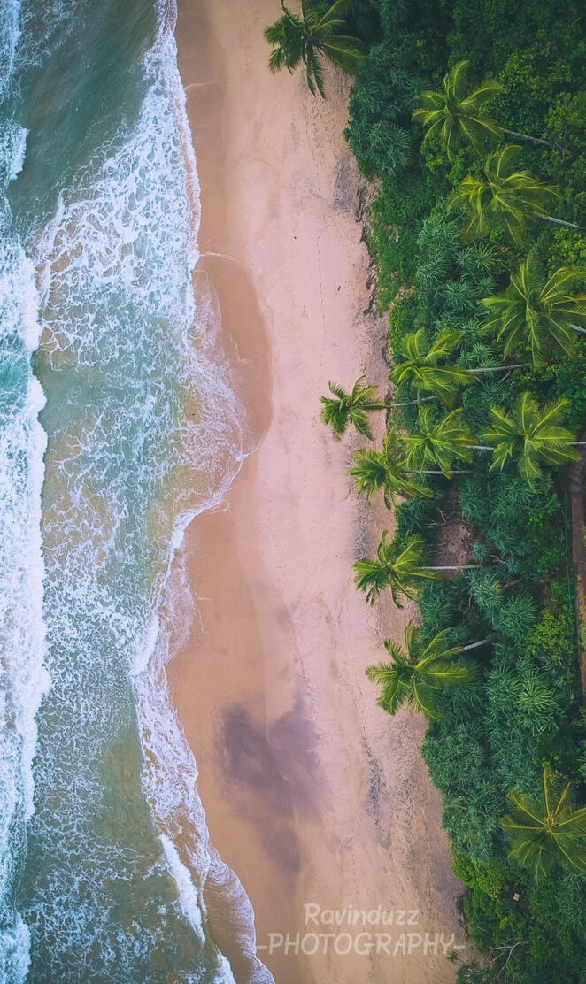 Sri Lanka Beach