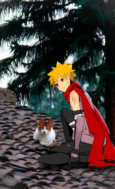 Naruto x cat