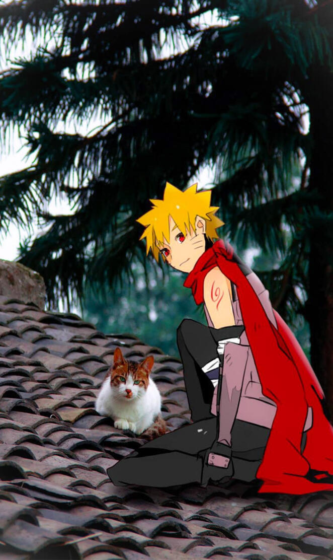 Naruto x cat