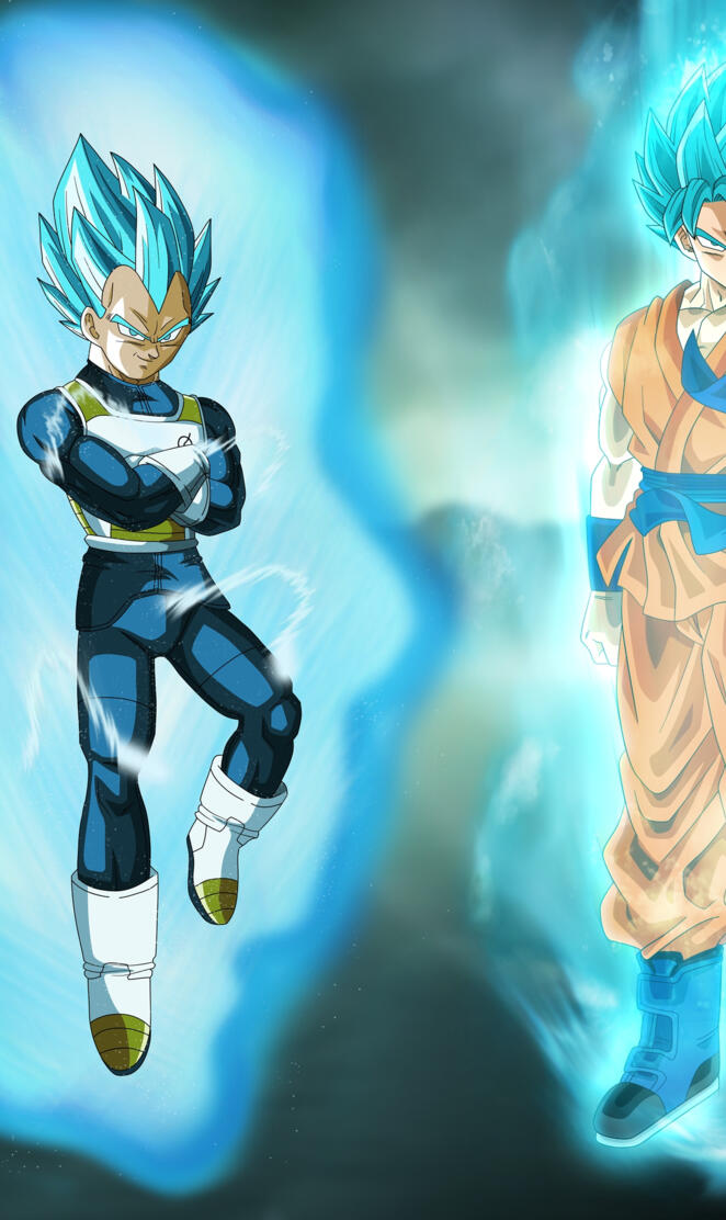 Goku Vegeta Gods