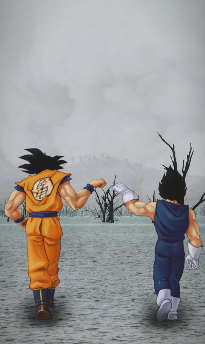 Goku and Vegeta