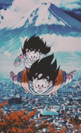 Goku and Gohan