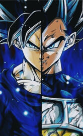 Goku and vegeta