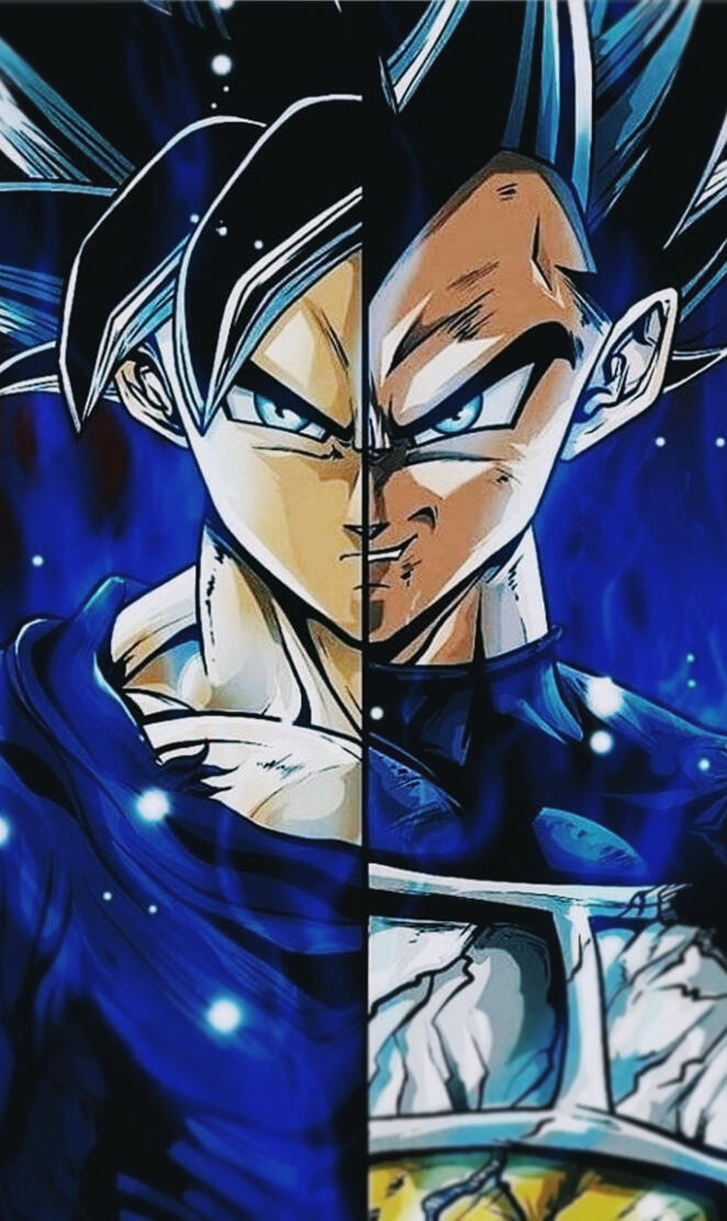 Goku and vegeta