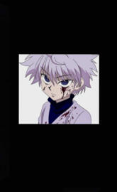 HunterXhunter
