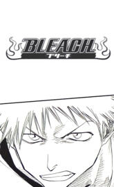 Bleach