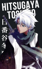Toshiro Hitsugaya