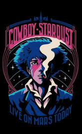 Cowboy bebop